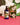 Toiletpaper Toiletpaper Body Lotion | Loft 33