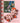 Oybo - Oybo Pretty Winter - Loft 33